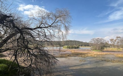 Edomex mágico: Descubre los parques más hermosos para hacer un picnic