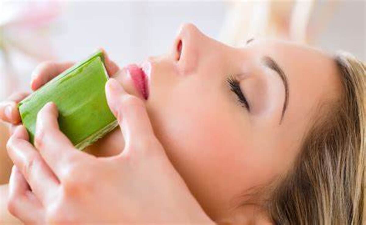 El aloe vera tiene propiedades antiinflamatorias y calmantes / Foto Especial