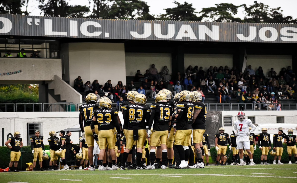 Potros Salvajes y Leones Anáhuac se enfrentan en la Conferencia Nacional de la ONEFA