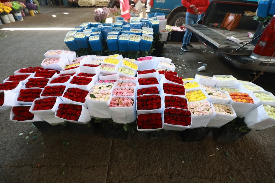 El Estado de México consolida su posición como el principal productor de flores del país, aportando 9 de cada 10 rosas. Foto Alejandro Vargas / El Universal