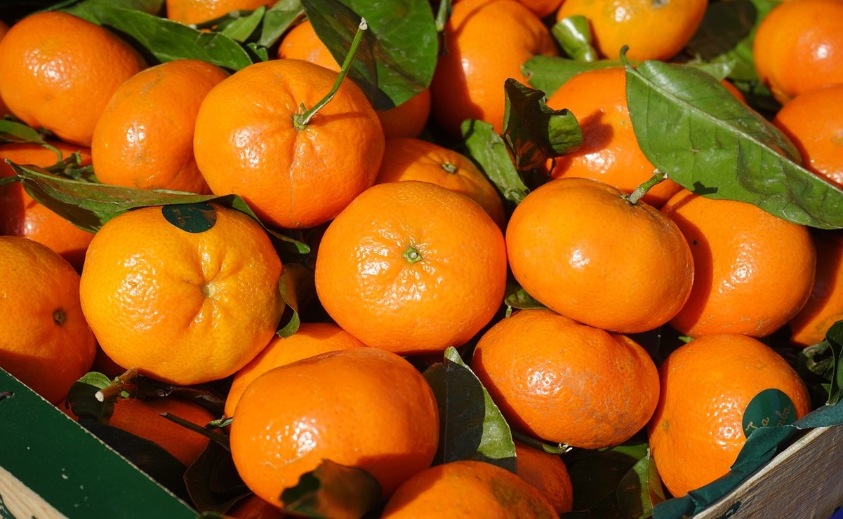 La mandarina es rica en vitamina C, ideal para esta temporada de frío. Foto: Pixabay.