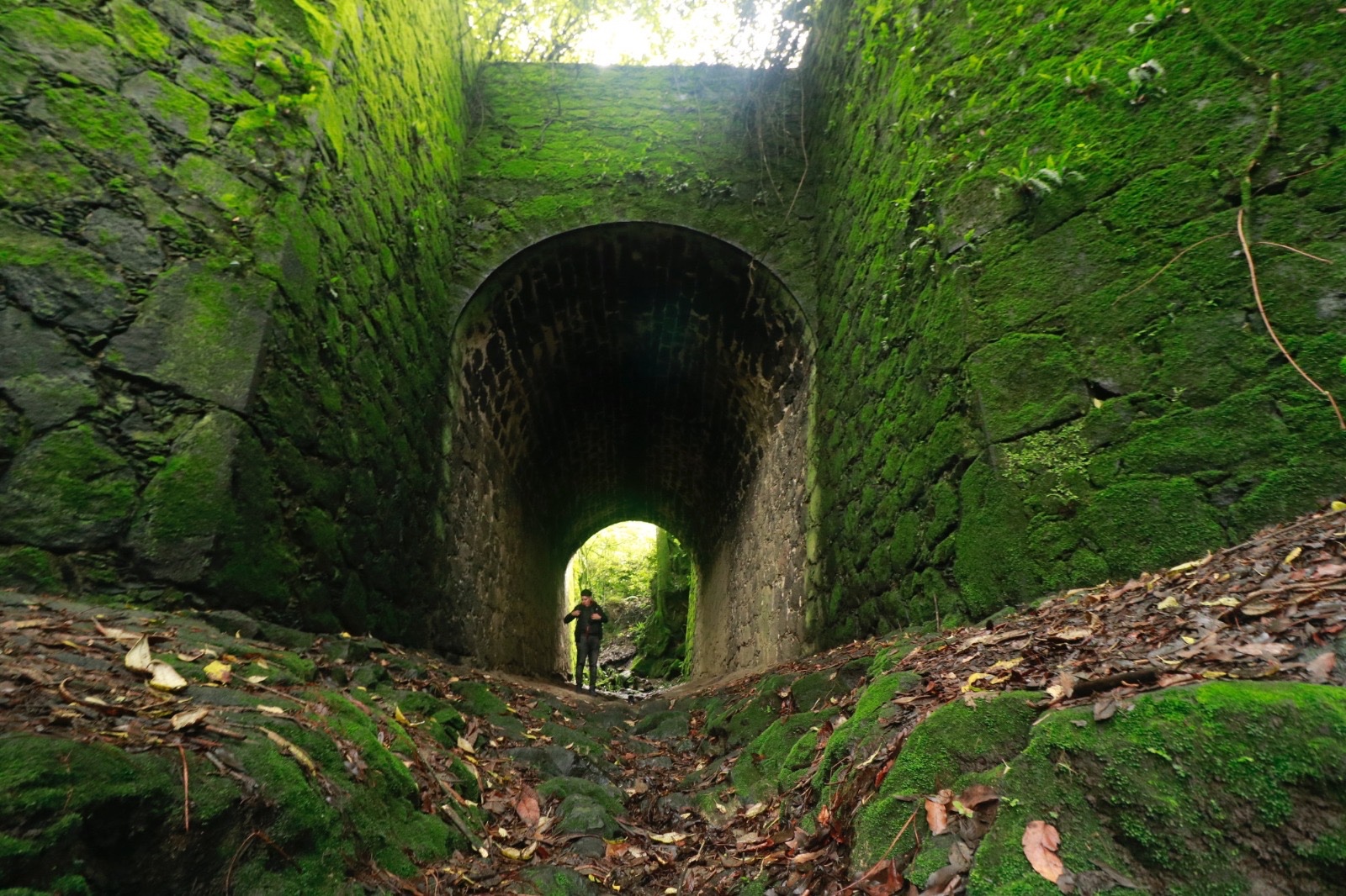 Una opción para las vacaciones es visitar los seis Puentes Porfirianos que se ubican en el Parque Ecoturístico Tlanamacoyan, en el municipio de Ecatzingo. Foto Especial