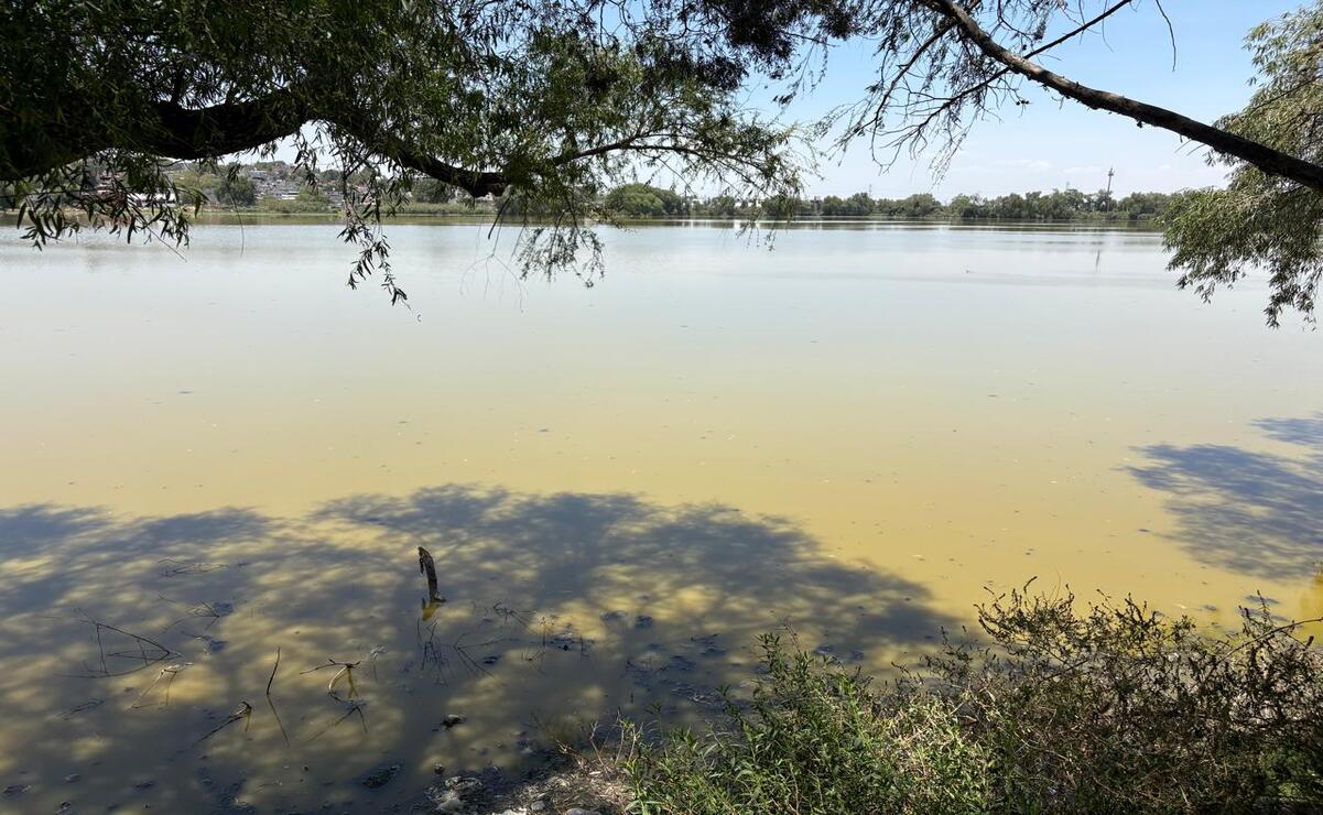 Con un proceso de tratamiento adecuado del agua, el embalse podría convertirse en una alternativa contra el desabasto de agua / Foto Arturo Contreras.