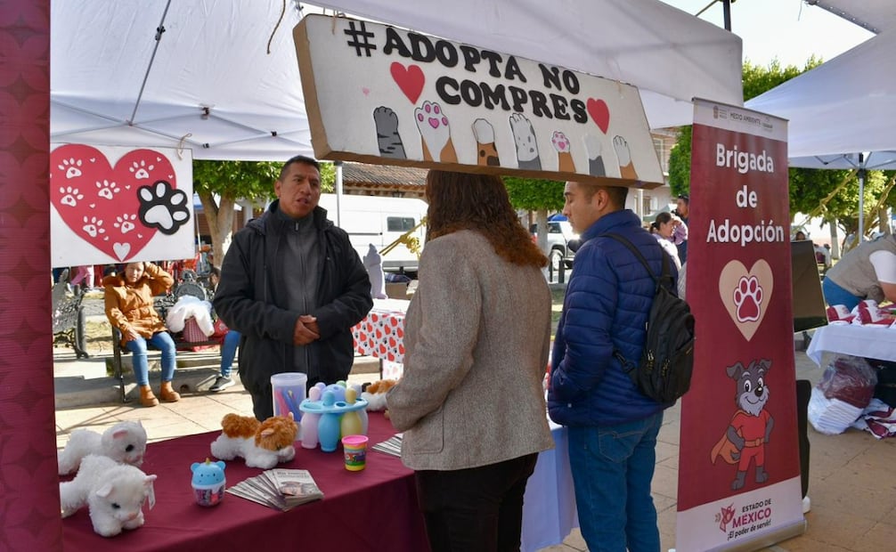 Gracias a la iniciativa "La Mejor Jugada es Adoptar" con el Club Toluca, 686 perritos y gatitos han encontrado un nuevo hogar. Foto Especial