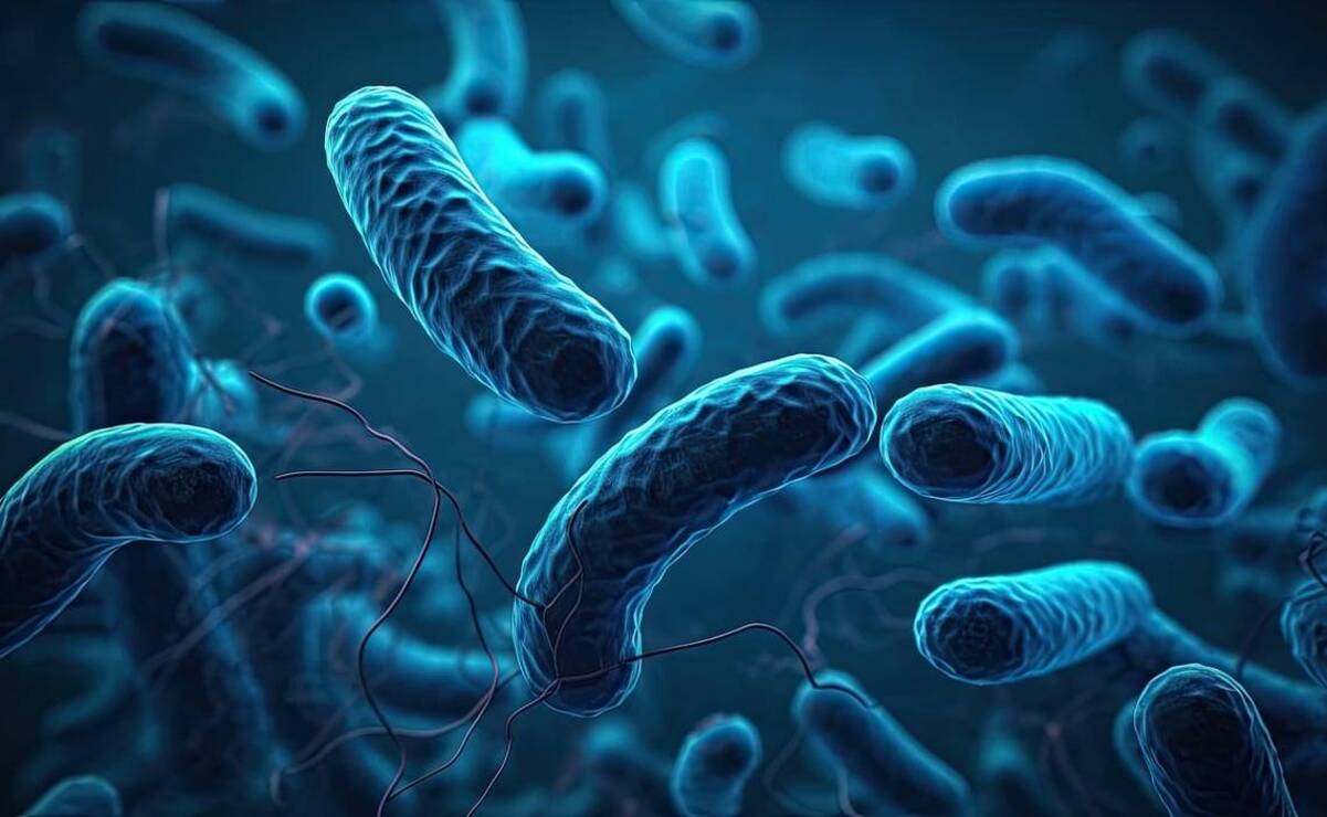 Este brote está vinculado con soluciones intravenosas / Foto Especial