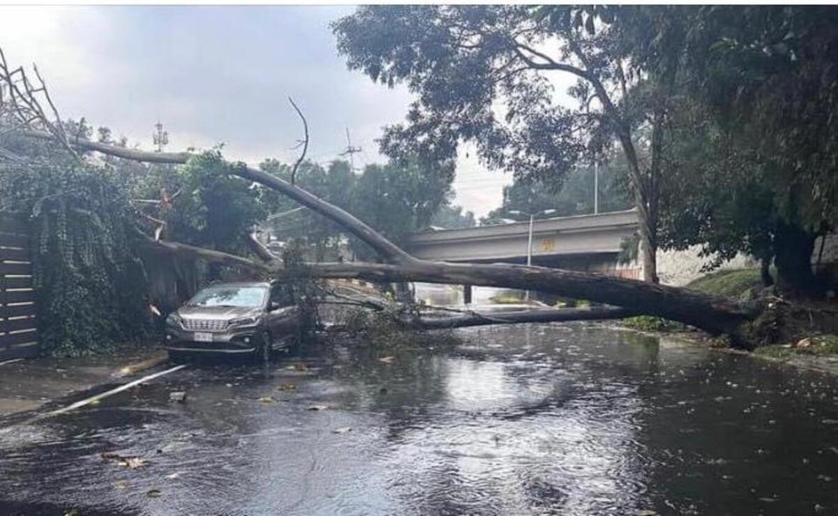Este cuerpo de emergencias atendió 4 mil 412 llamados de urgencia que se presentaron de enero a noviembre de este año. Foto: Especial