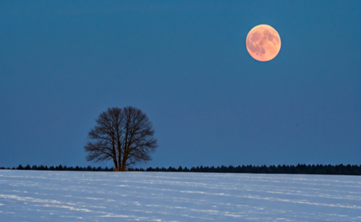 ¿Cuándo ver la Luna Fría? Te contamos todo sobre este fenómeno invernal