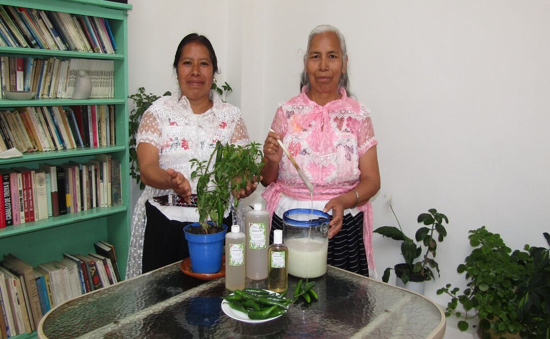 Las Promotoras Ñhahto ofrecen capacitación para aprender a elaborar extractos de plantas, pomadas, cremas, champú y jabones de hierbas. Foto: Especial