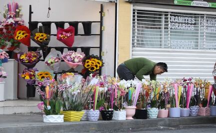 Celebración del Día de las Madres impulsará economía del Edomex con millonaria derrama económica