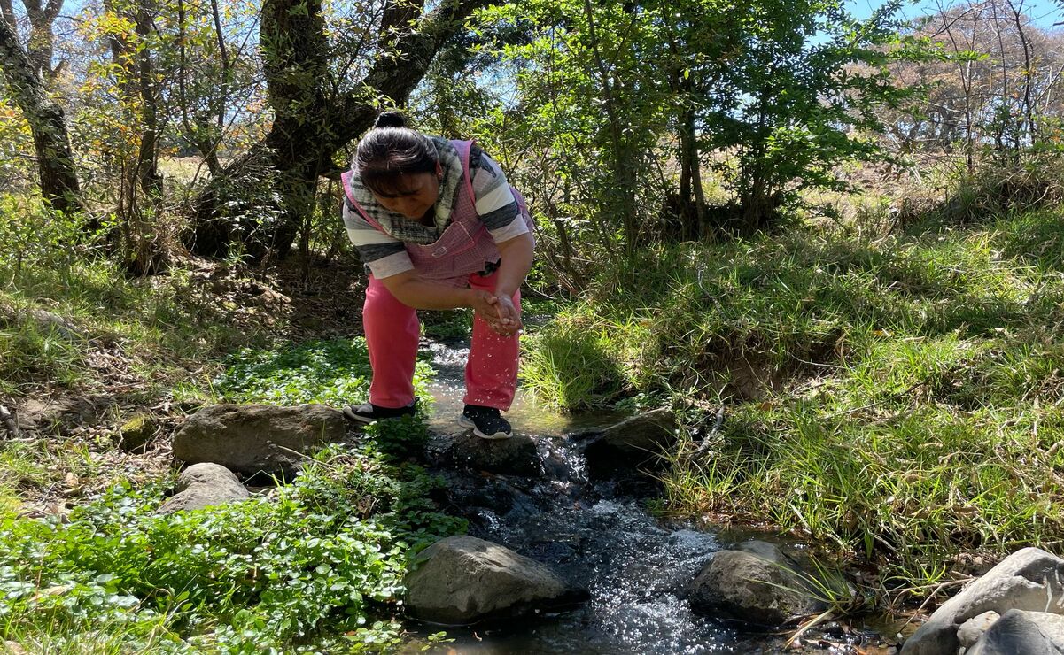 Con 300 hectáreas de extensión, el bosque de El Magueyal ha sido resguardada por los habitantes tras generaciones. Foto: Michelle Sánchez / El Universal Estado de México
