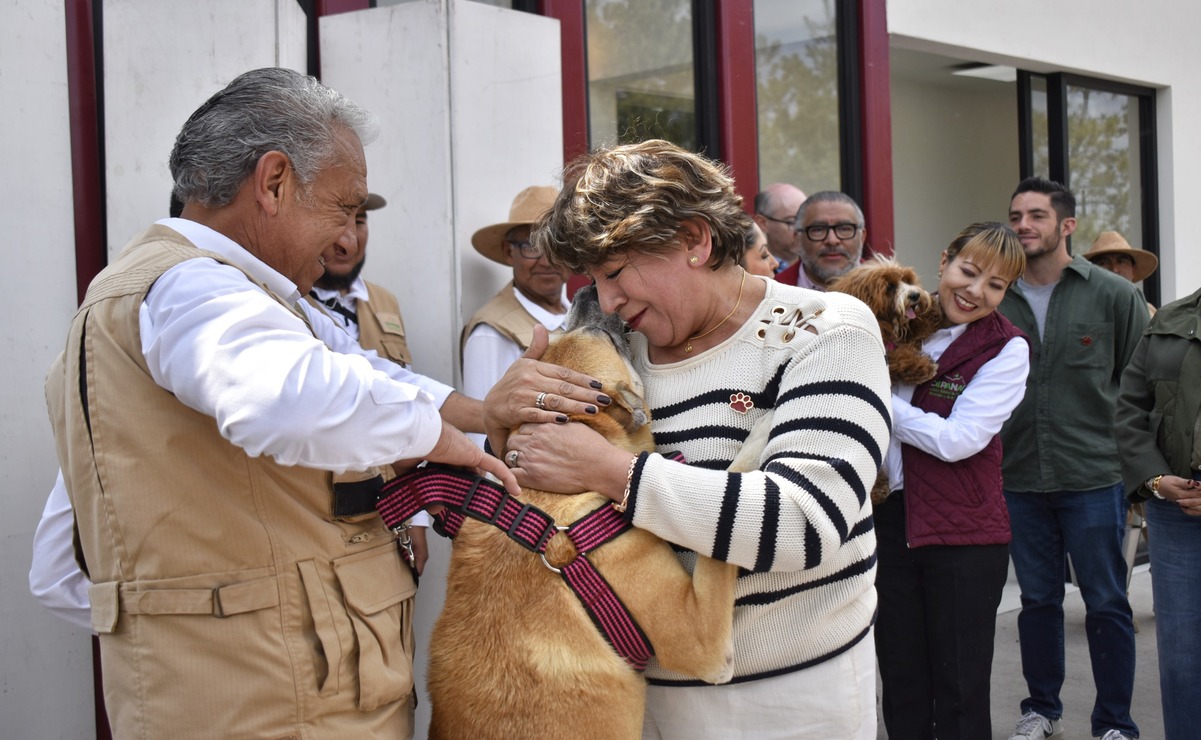 Si estás interesado en adoptar una mascota, puedes obtener más información en las redes sociales de la Cepanaf / Foto Especial