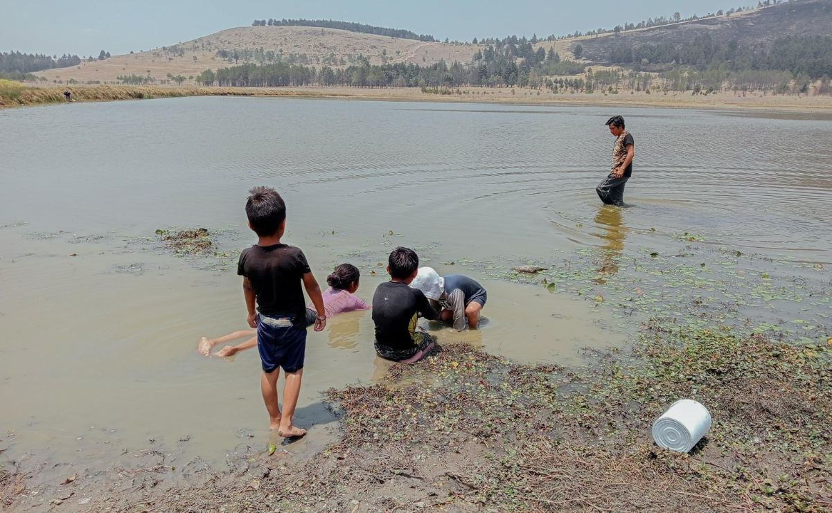 A pesar de los desafíos ambientales, la inocencia de estos niños al jugar en la laguna del Sierra Morelos resuena con la frase de su padre: "Esto es vida para nosotros". Foto: Arturo Hernández