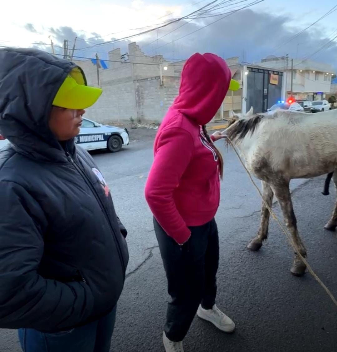 El caso ha puesto de manifiesto la necesidad de concientizar a la población sobre la importancia de cuidar y respetar a los animales. Foto Especial