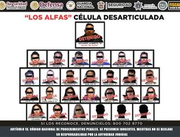 Vinculan a proceso a Eduardo Alberto “N”, alias “El Alfa” y 23 personas del Cártel Jalisco Nueva Generación