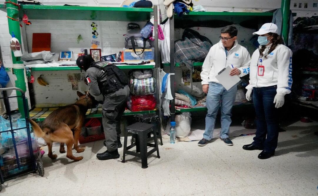 19 oficiales mujeres y dos caninos del CODHEM ayudaron en el operativo. Foto: Especial.