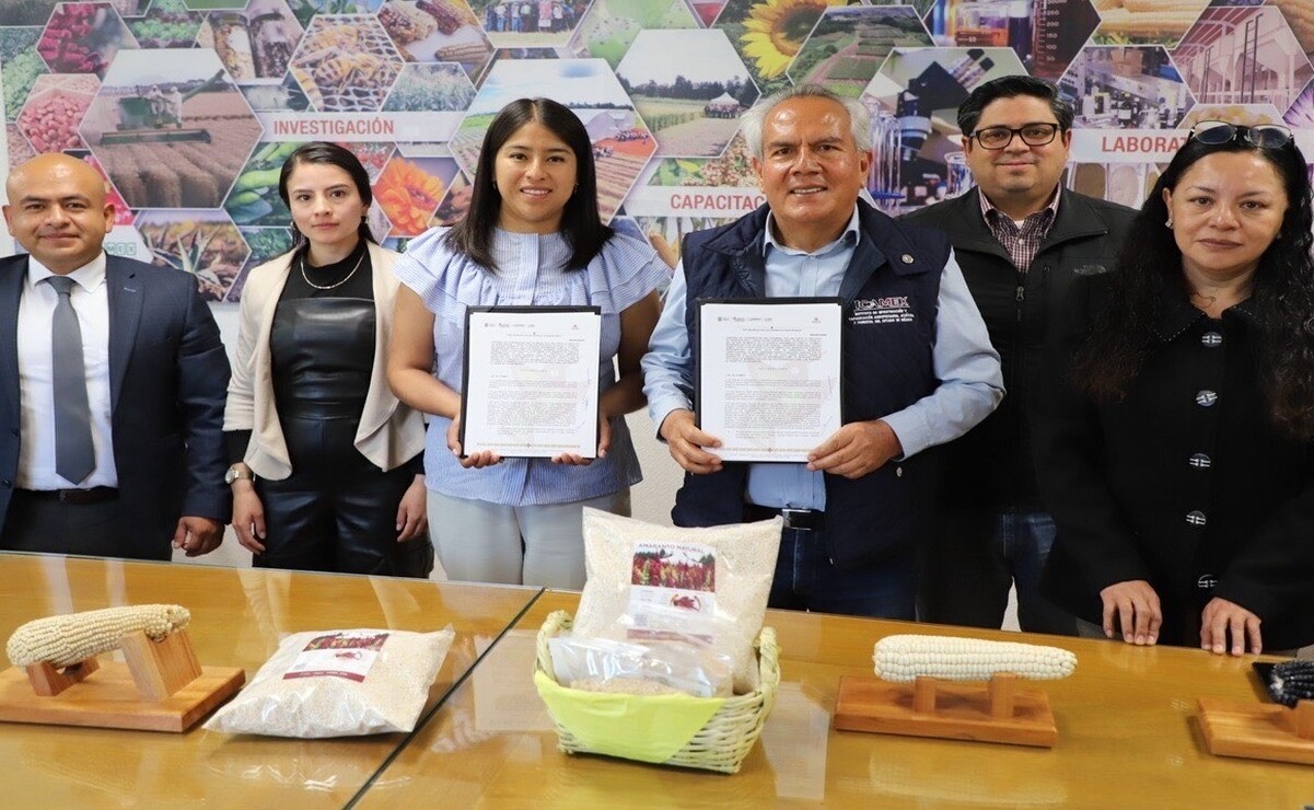 Temoaya fortalece su agricultura con cultivos sostenibles y rentables
