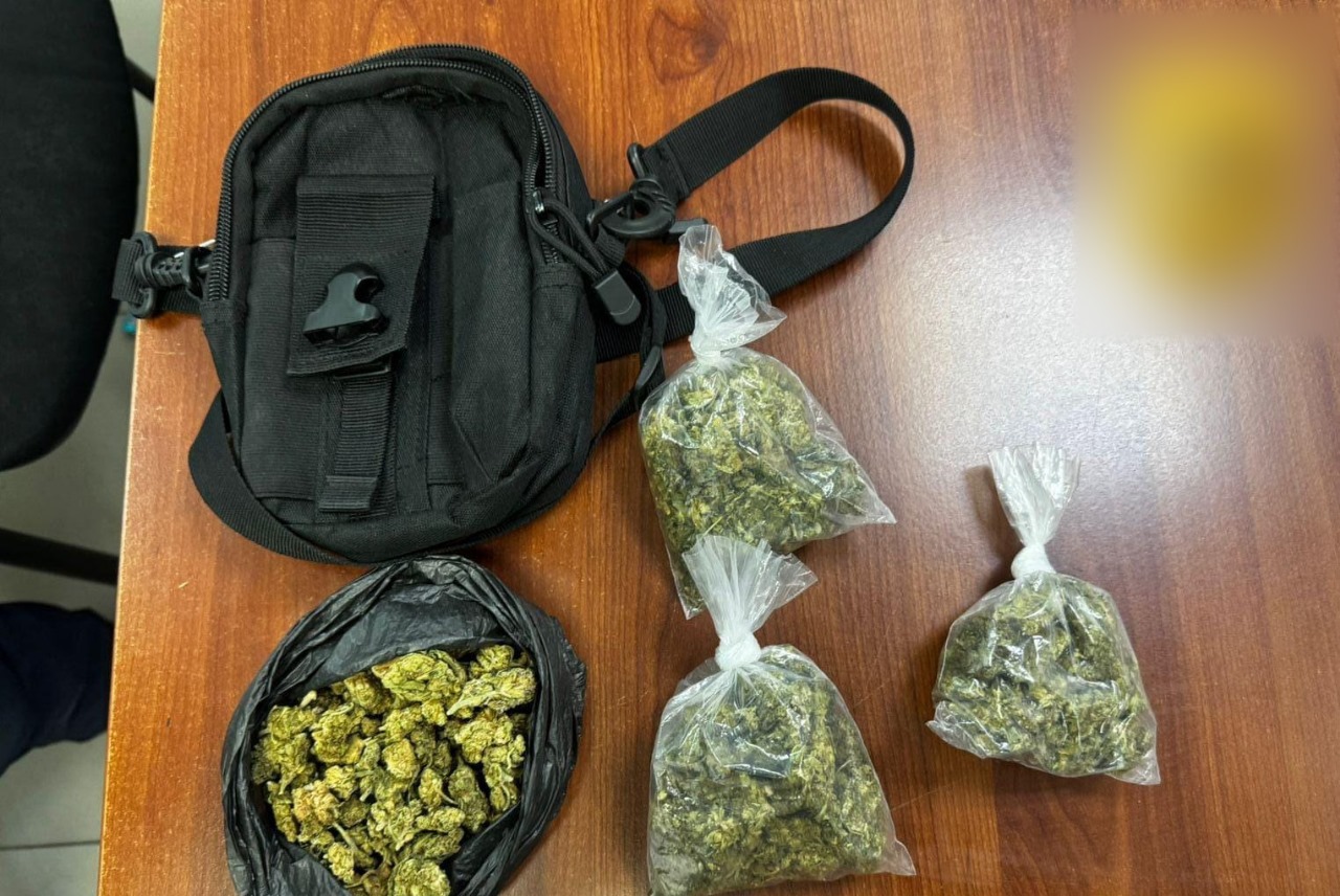 Les decomisaron hierba verde y seca con características propias de la marihuana / Foto Especial