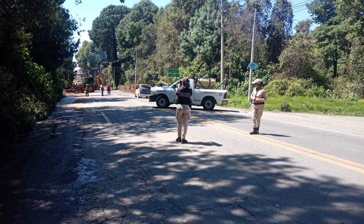 Elementos de Protección Civil de Tenancingo, acudieron al lugar para realizar las labores correspondientes Foto: Especiales