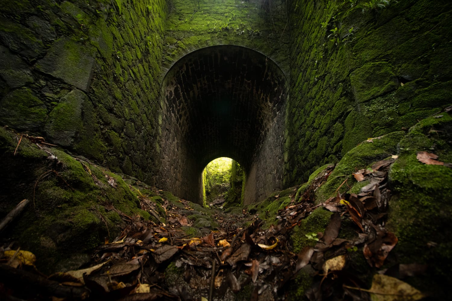 Puentes Porfirianos en Ecatzingo FOTO: Cortesía
