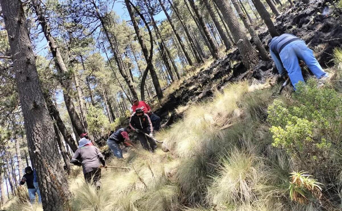 El gobierno municipal hace un llamado a la ciudadanía a abstenerse de realizar quemas al aire libre / Foto Alejandro Vargas