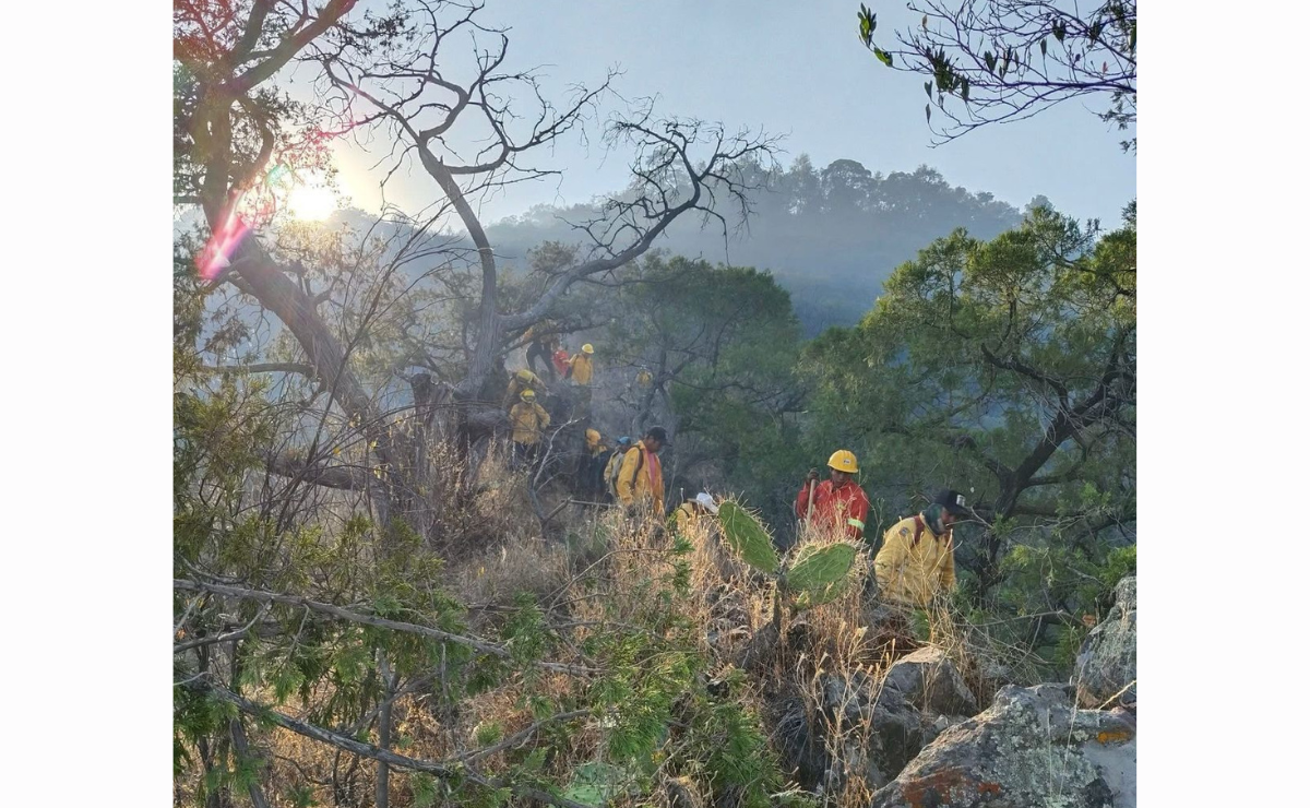 Brigadistas luchan contra el fuego en Ocuilan, donde el incendio persiste a pesar de los esfuerzos Foto: Especial