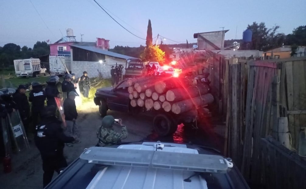 Durante el operativo fueron aseguradas 99 piezas de madera en rollo de pino. Foto especial