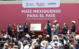 Edomex recibe registro de marca “La mejor tortilla del mundo”; aplica a mayo de 2036