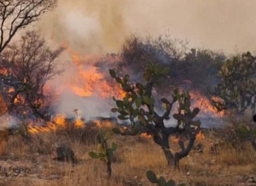 La densa columna de humo generada en la zona de “Potros” es perceptible desde la autopista México-Querétaro y municipios vecinos. Foto Especial