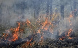 Encabeza Edomex entidades del país con más incendios en 2026 