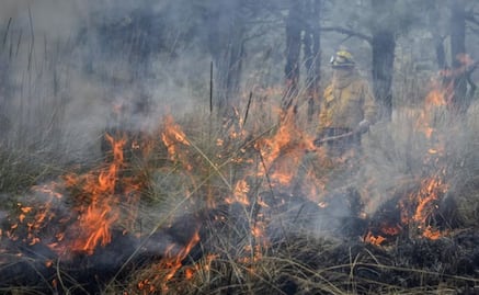 Encabeza Edomex entidades del país con más incendios en 2026