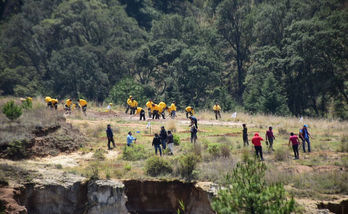 Se capacitará a 350 personas para recuperar los ecosistemas en zonas boscosas degradadas. Foto: Especial