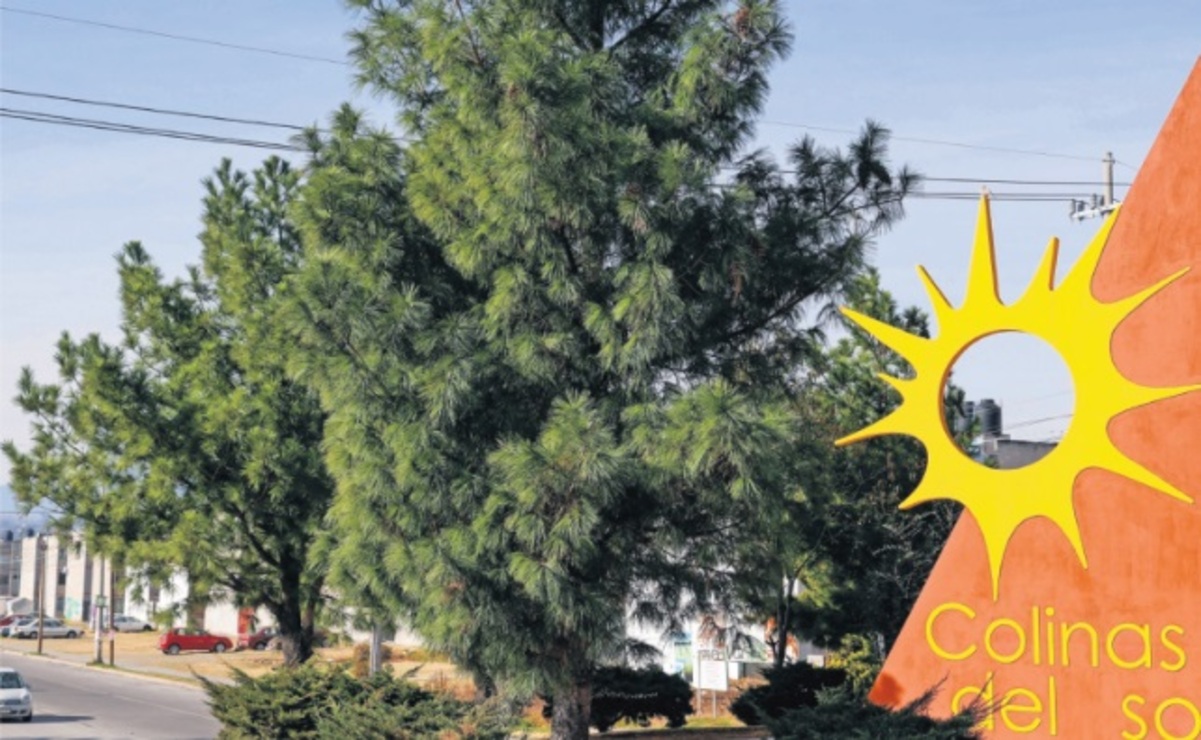 El fraccionamiento Colinas del Sol en Almoloya de Juárez, Estado de México, fue inaugurado en el año 2011 / Foto Arturo Hernández