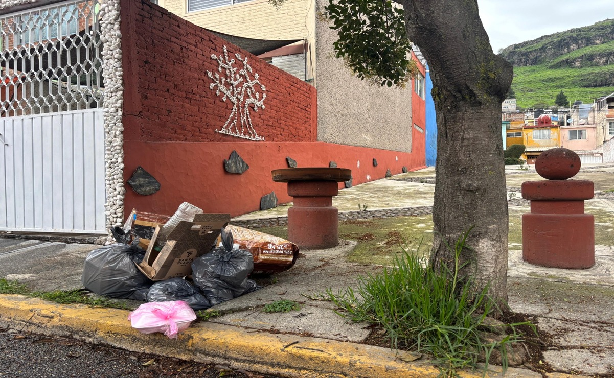 La presencia de bolsas en la vía pública atrae a perros callejeros / Foto: Arturo Hernández