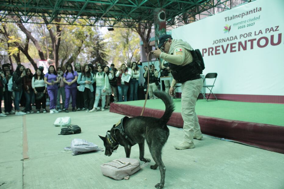 La jubilación de Anubis marca un precedente en el bienestar animal y el trato digno a los binomios caninos en el Edomex. Foto Especial