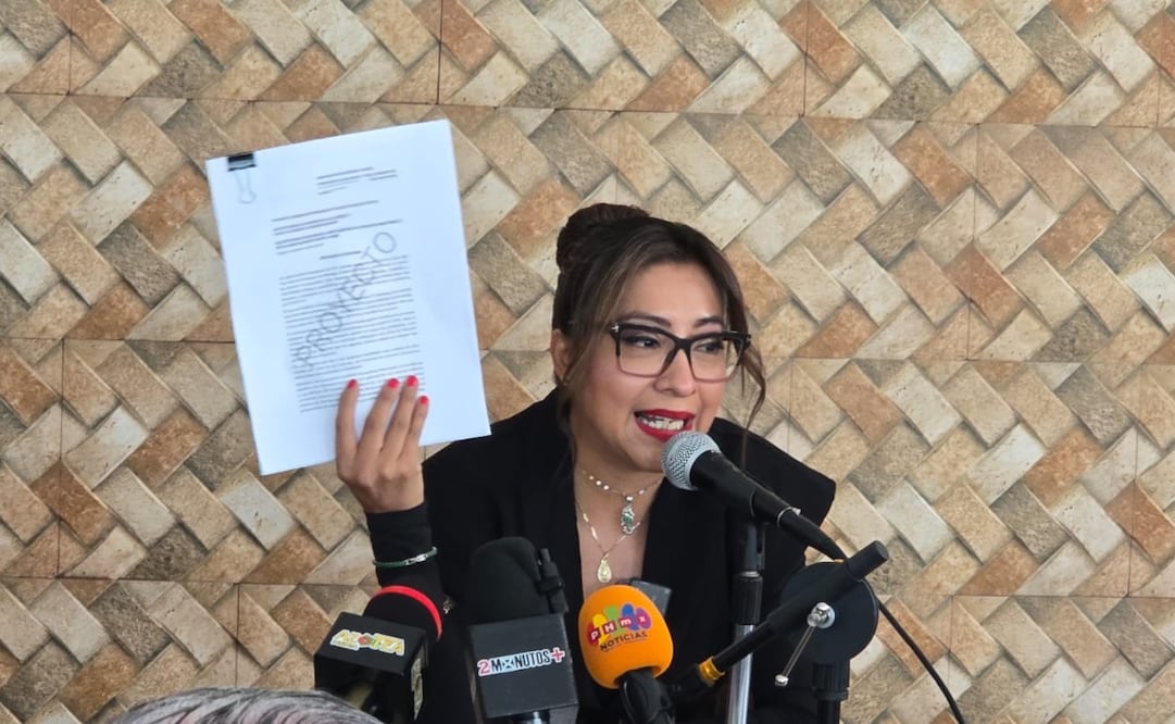 Miriam Silva Mata informó que 21 amparos colectivos benefician a más de 7 mil habitantes de 38 colonias de Ecatepec, quienes exigen agua suficiente y de calidad. Foto Especial