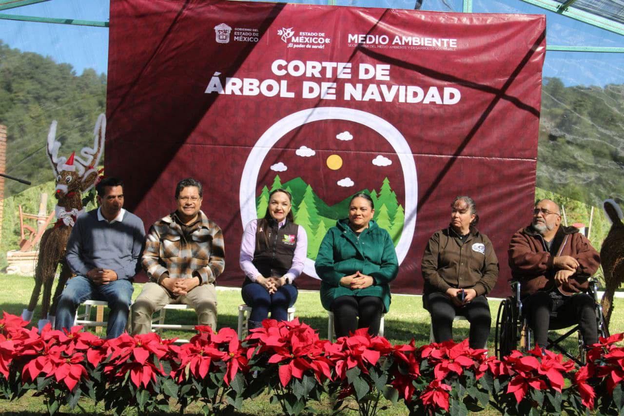Amecameca es pionero en la comercialización de Árboles de Navidad. Foto Especiales