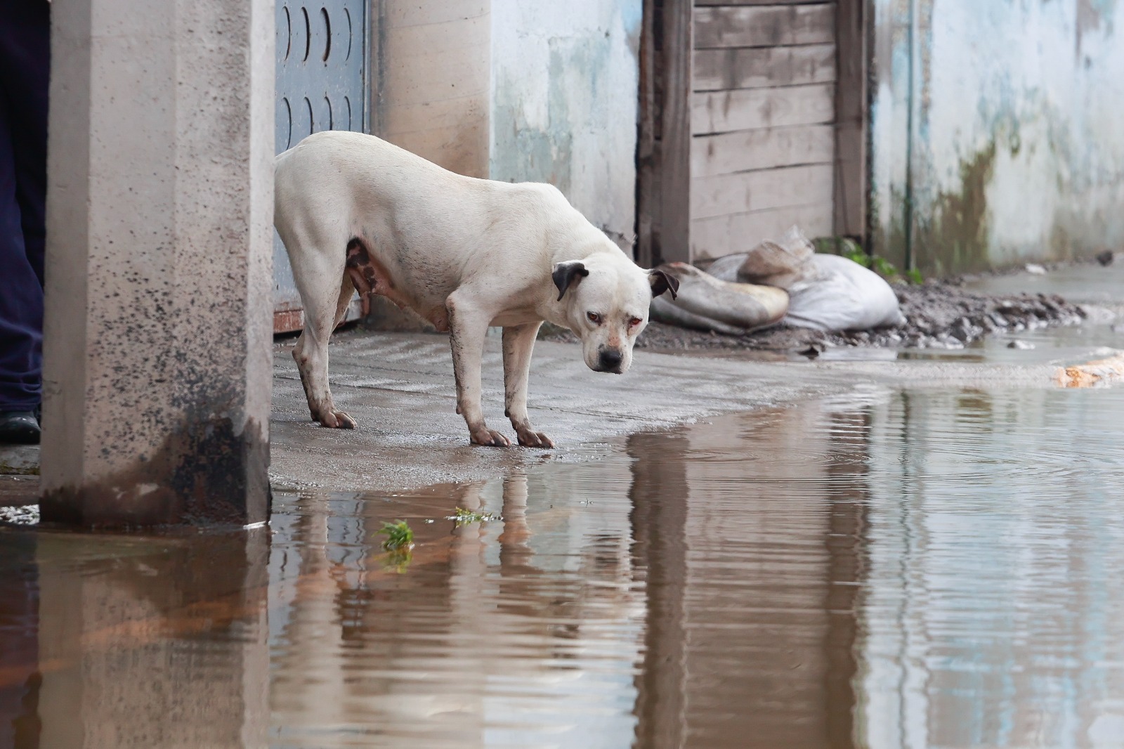 36 de los 125 municipios mexiquenses están en una mayor vulnerabilidad de padecer por las lluvias. Foto: Alejandro Vargas.