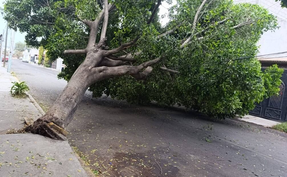 La calle Felipe Vinicio fue acordonada momentáneamente para permitir las maniobras de retiro. Foto Especial