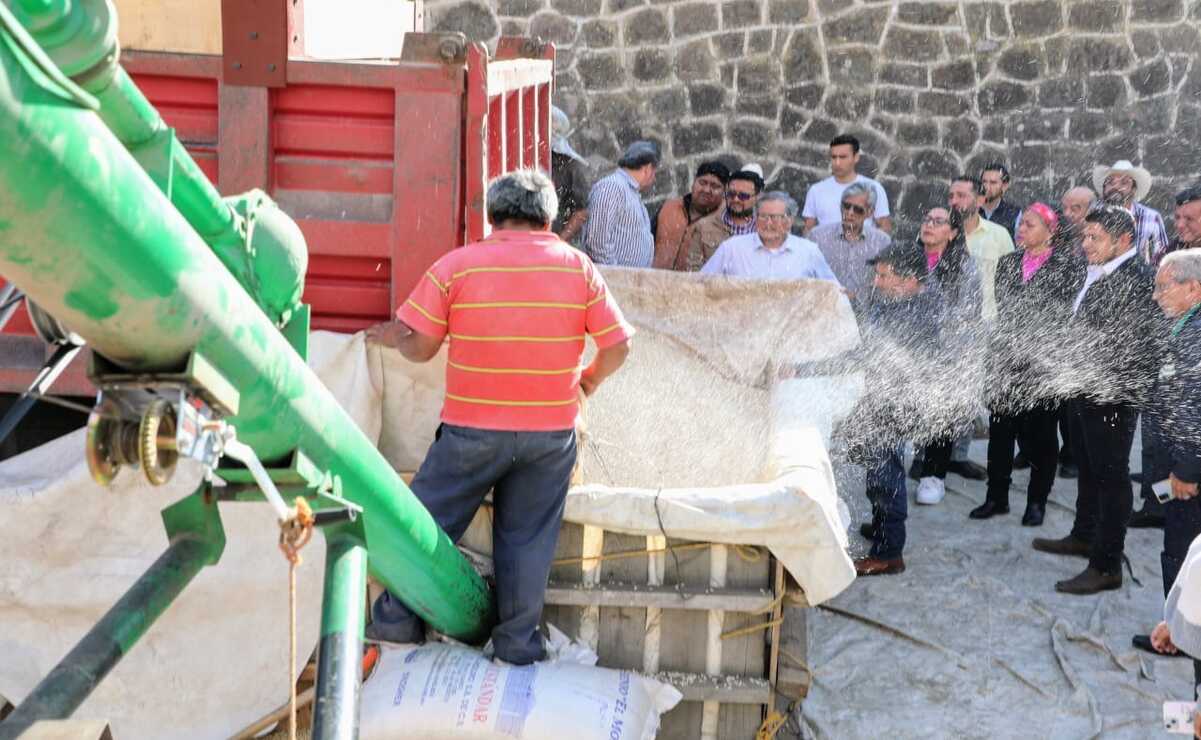 Edomex apoya a productores de maíz blanco con subsidio de mil pesos por tonelada