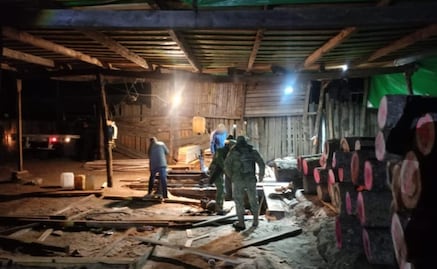 Profepa y 250 elementos aseguran madera y maquinaria en aserradero ilegal de Ocuilan