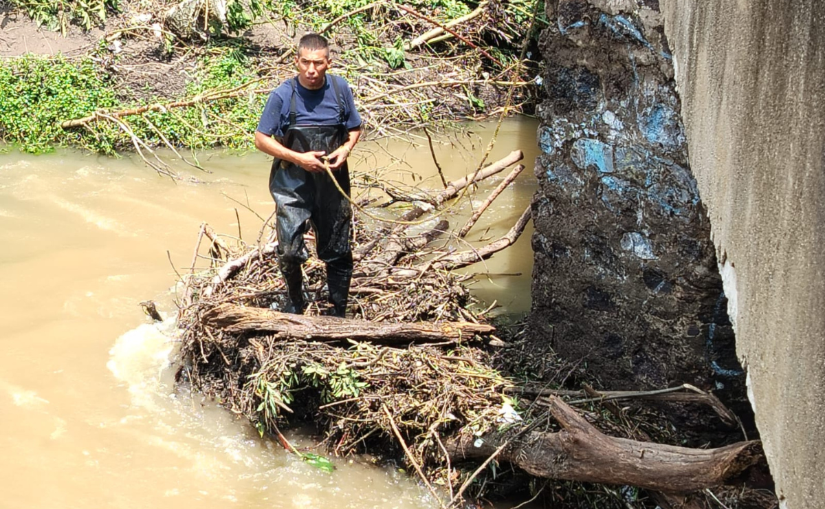 Caos por lluvias: Un árbol de 10 metros cae en Río Hondo, afectando conexión entre Tepotzotlán e Izcalli. Foto: Especial