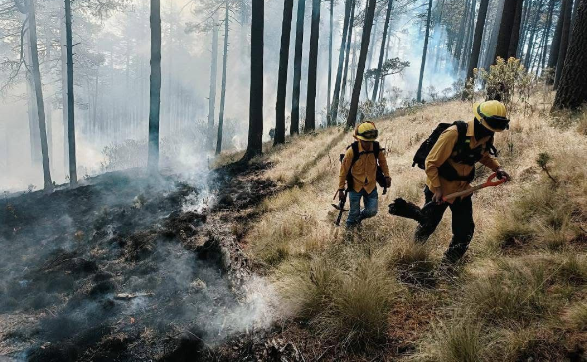 Brigadistas de Probosque y otras corporaciones trabajan arduamente para controlar el fuego en el Xinantécatl. Foto: Jorge Alvarado