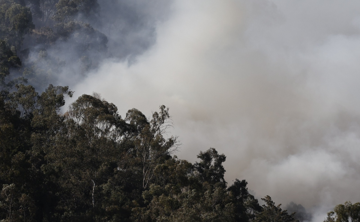 El Valle de México enfrenta una crisis ambiental sin precedentes Foto: Jorge Alvarado