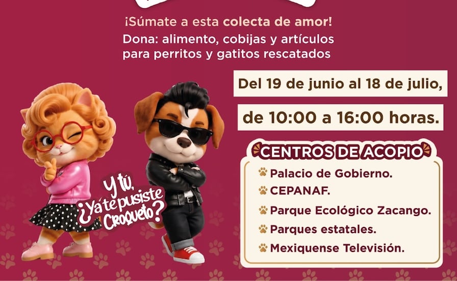 Ya inició en Edomex la "Croquetomanía"; gatitos y perritos necesitan de tu donación

