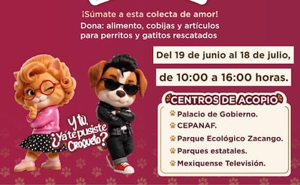 Ya inició en Edomex la "Croquetomanía"; gatitos y perritos necesitan de tu donación