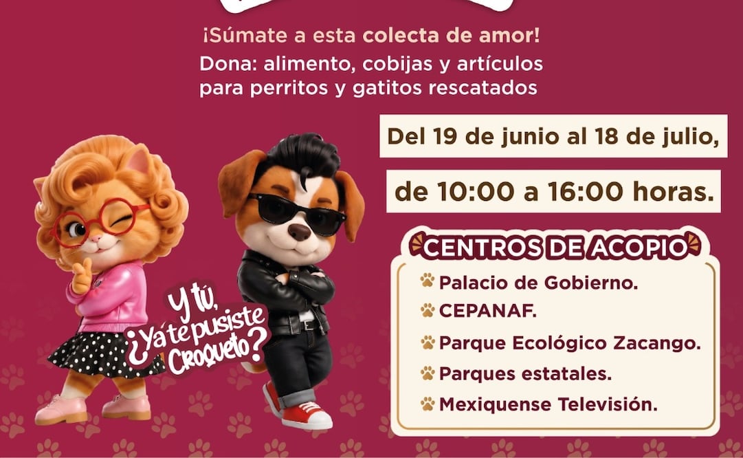 La "Croquetmanía" busca brindar una segunda oportunidad y bienestar a cientos de animales en situación de abandono. Foto Especial