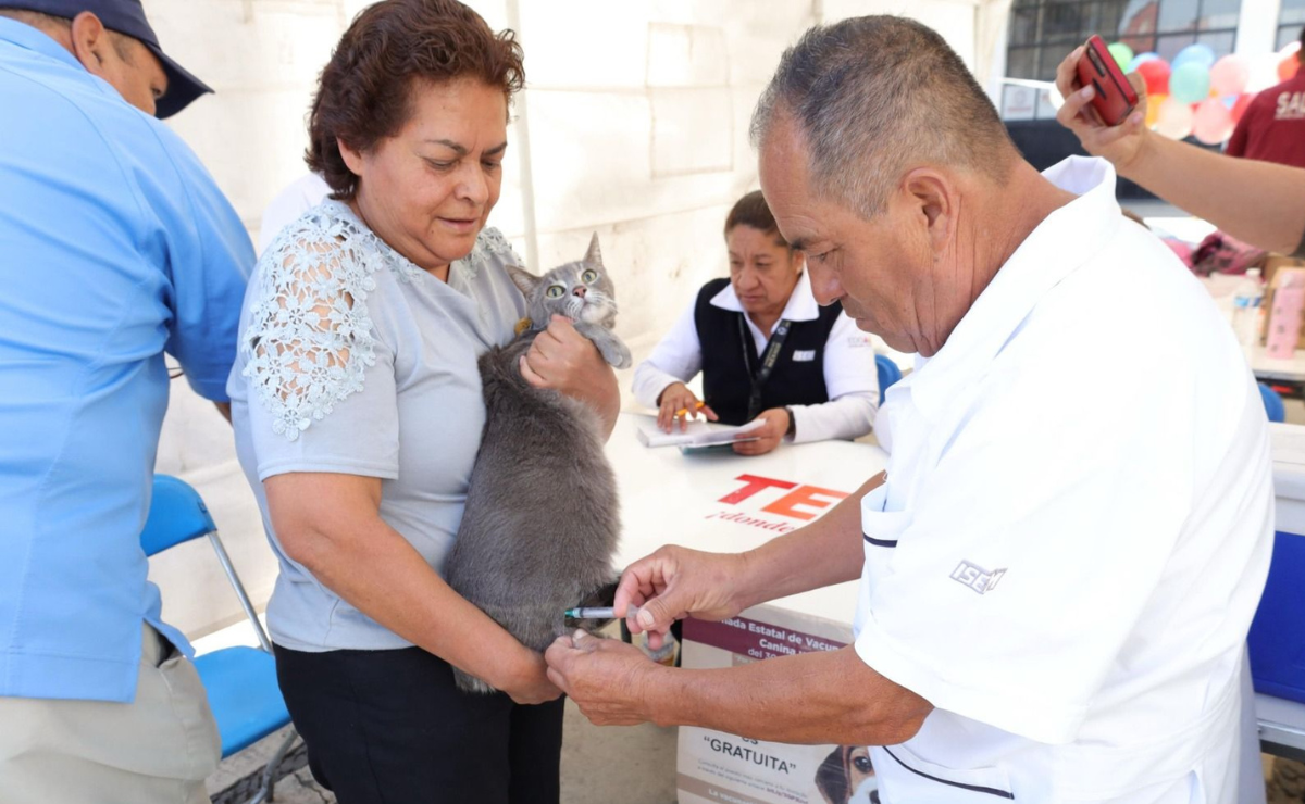 ¡Rumbo a la meta! El Estado de México se propone vacunar a casi 3.7 millones de perros y gatos contra la rabia para 2025. Foto: Especial