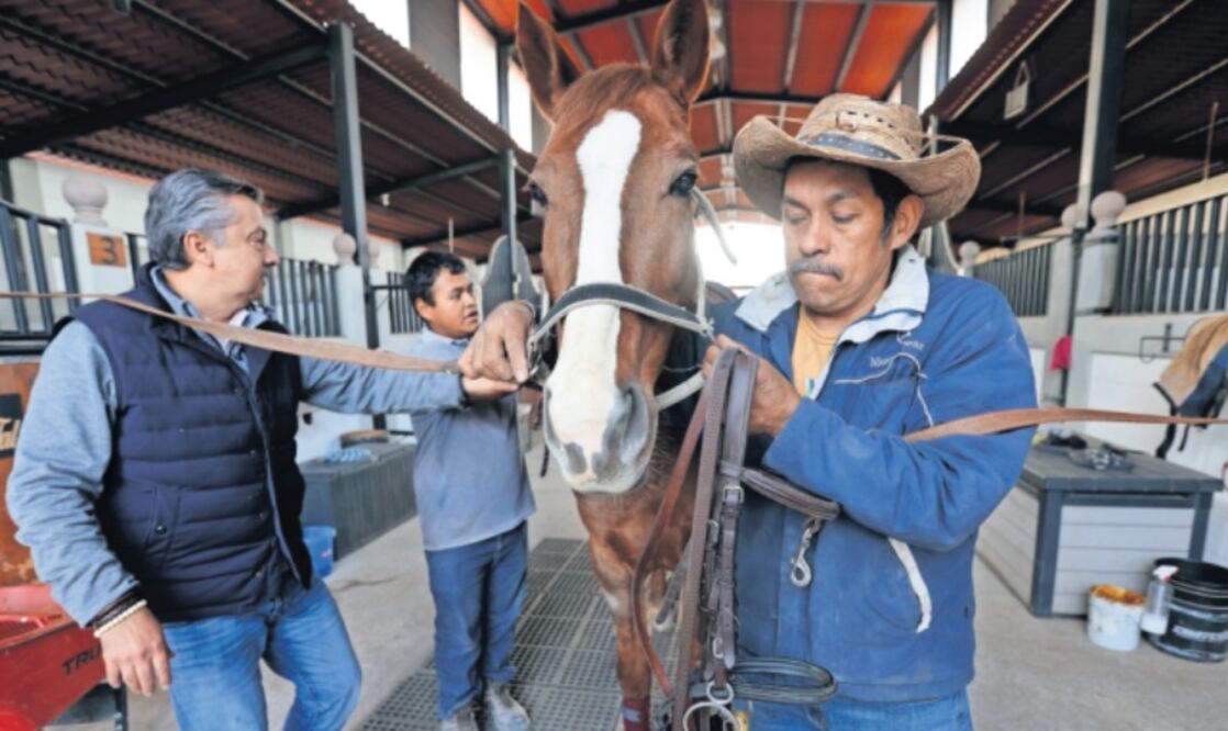 La equitación es un arte que requiere respeto y sincronía entre el jinete y el caballo / Foto Jorge Alvarado