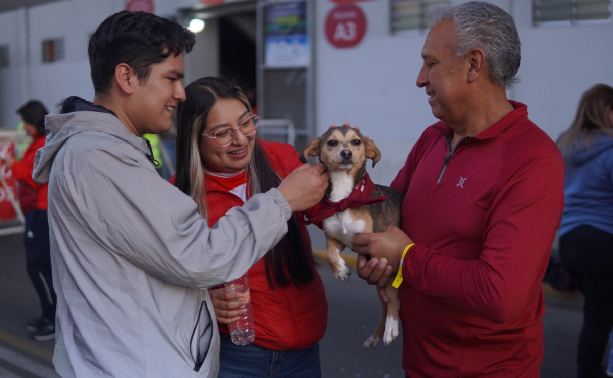 El amor más puro te está esperando. ¡Adopta y sé feliz! Foto: Especial