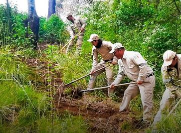 Incendios forestales en San José del Rincón: Aumentan 80% y se intensifican acciones preventivas